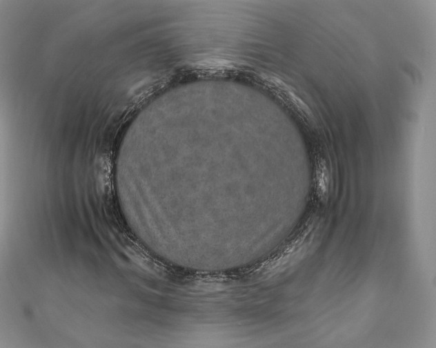 X0000110890964200907021514