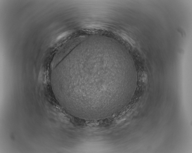 X0000110890965200907021514