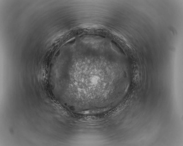 X0000110890966200907021514