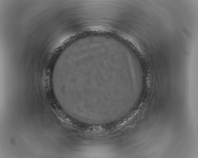 X0000110890968200907021514