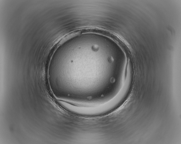 X0000110890969200907021514