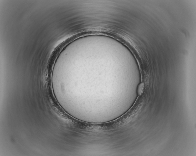 X0000110890971200907021514