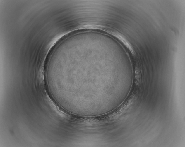 X0000110890972200907021514