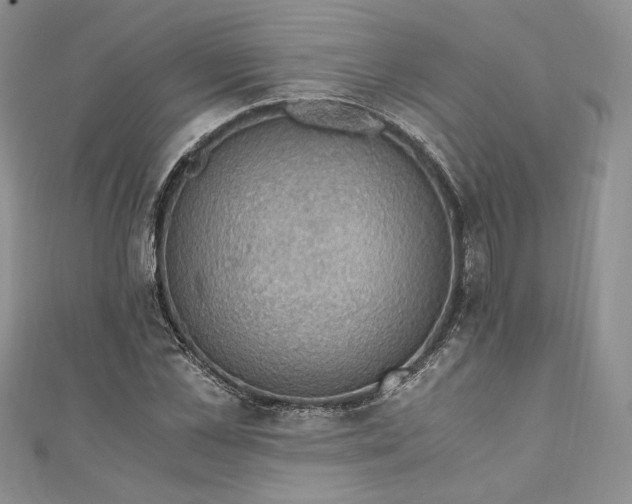 X0000110890973200907021514