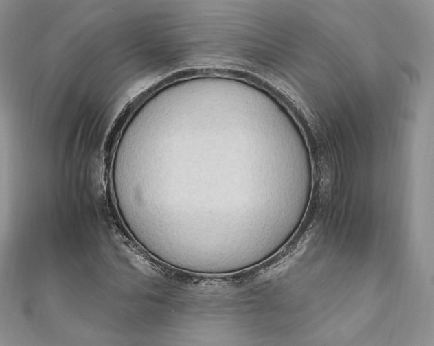 X0000110890974200907021514