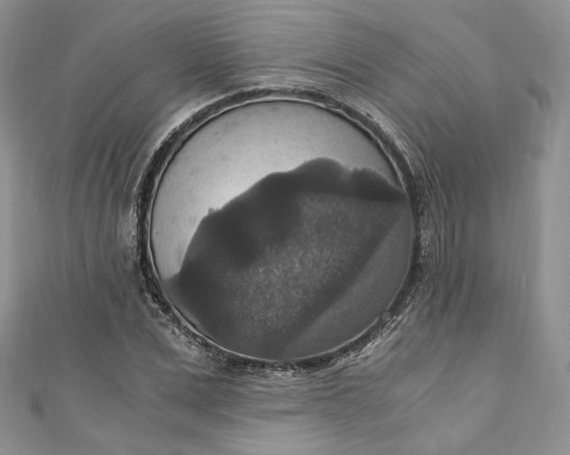 X0000110890975200907021514