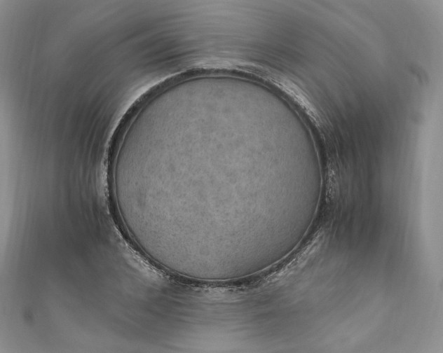 X0000110890976200907021514