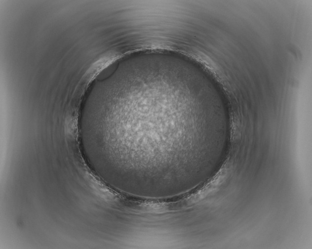 X0000110890977200907021514