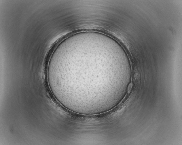 X0000110890979200907021514