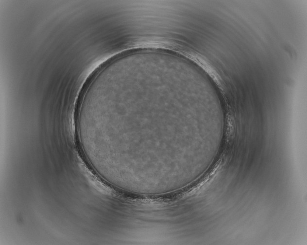 X0000110890980200907021514