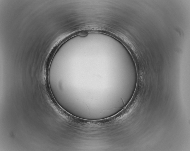 X0000110890981200907021514