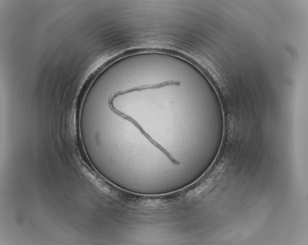 X0000110890982200907021514