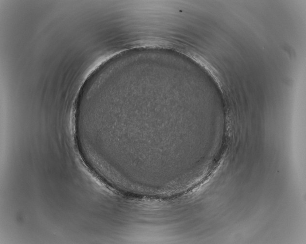 X0000110890983200907021514