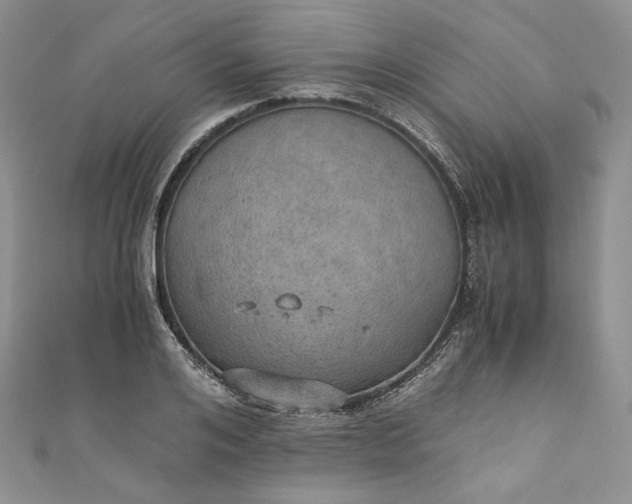 X0000110890984200907021514