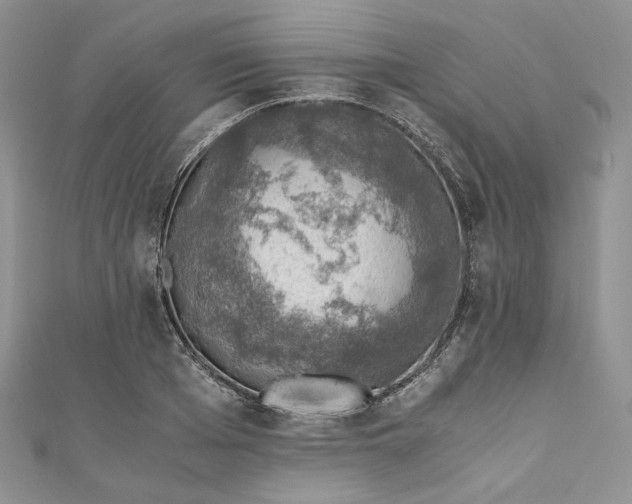 X0000110890985200907021514