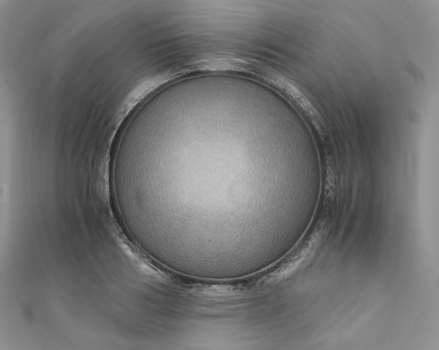 X0000110890986200907021514