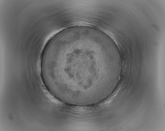 X0000110890987200907021514