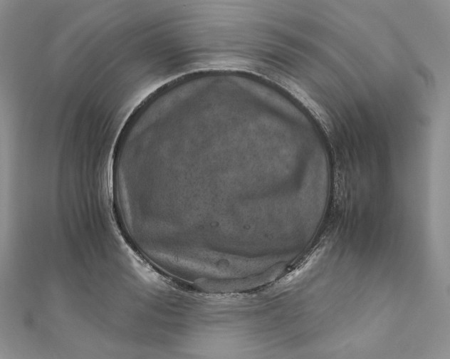 X0000110890988200907021514