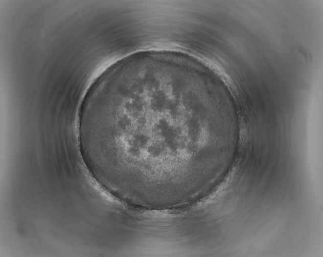 X0000110890990200907021514