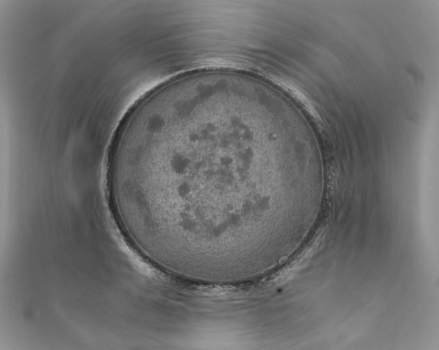 X0000110890991200907021514