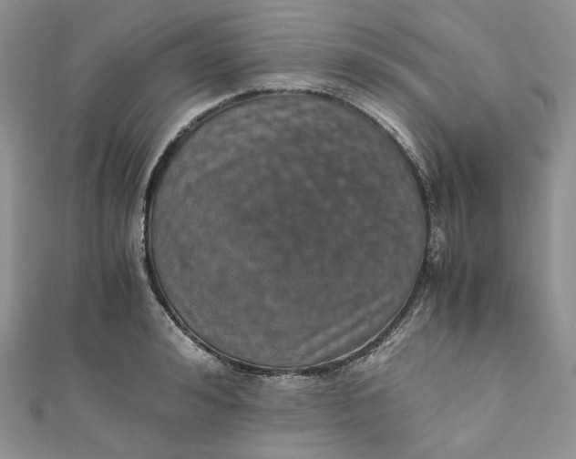 X0000110890992200907021514