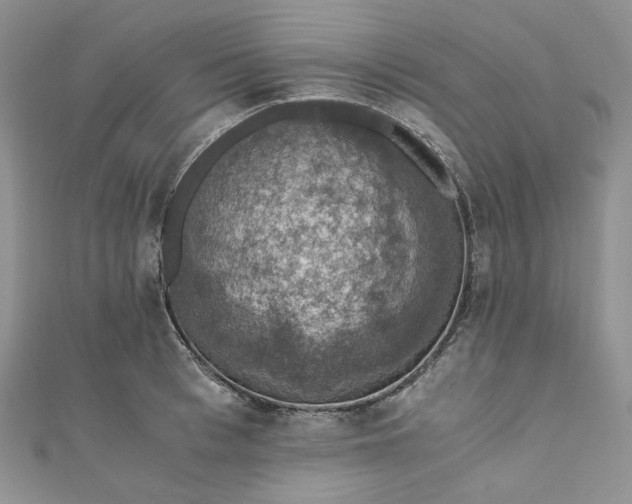 X0000110890993200907021513