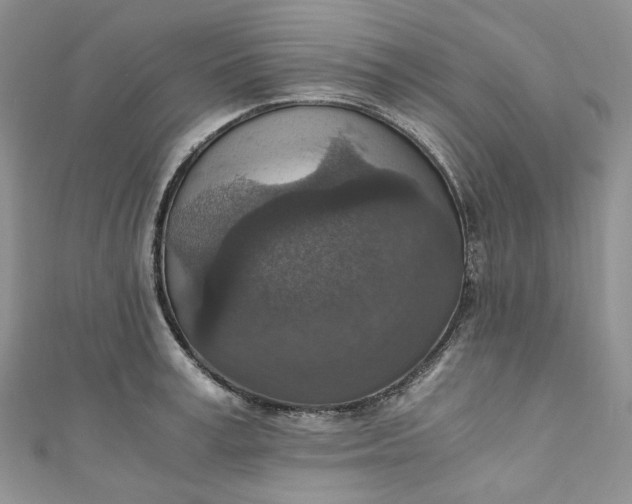 X0000110890995200907021513