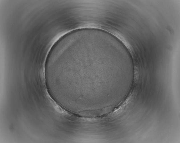 X0000110890996200907021513