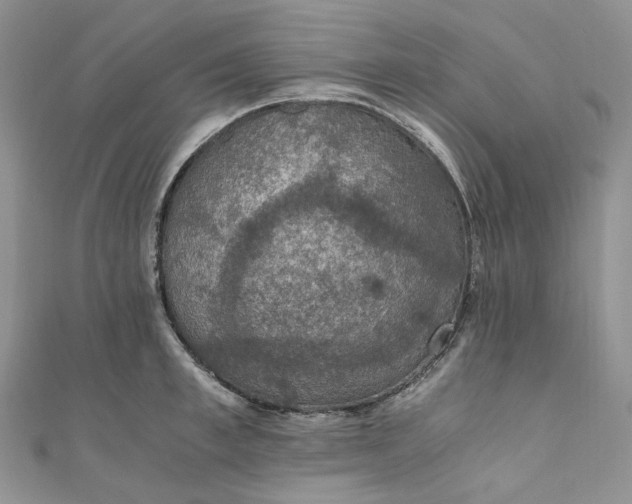 X0000110890997200907021513