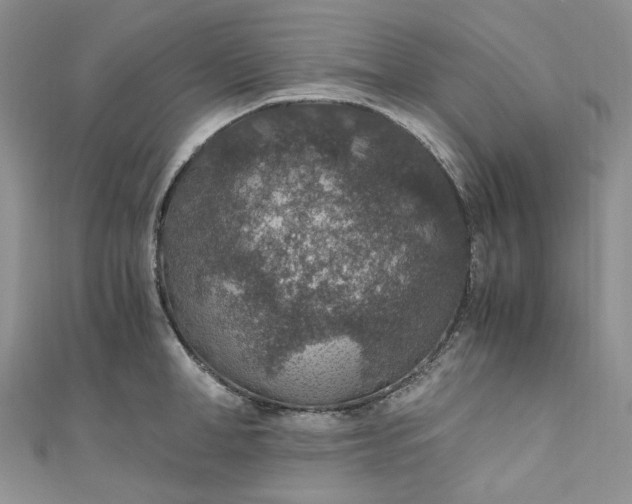X0000110890998200907021513