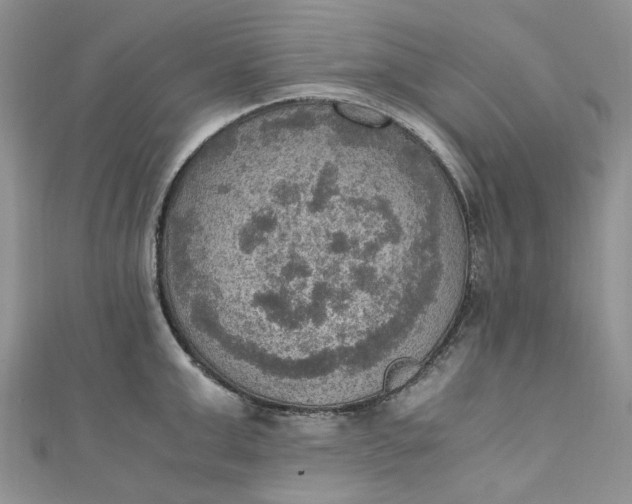 X0000110890999200907021513