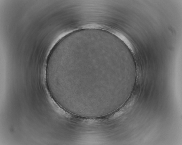 X0000110891000200907021513