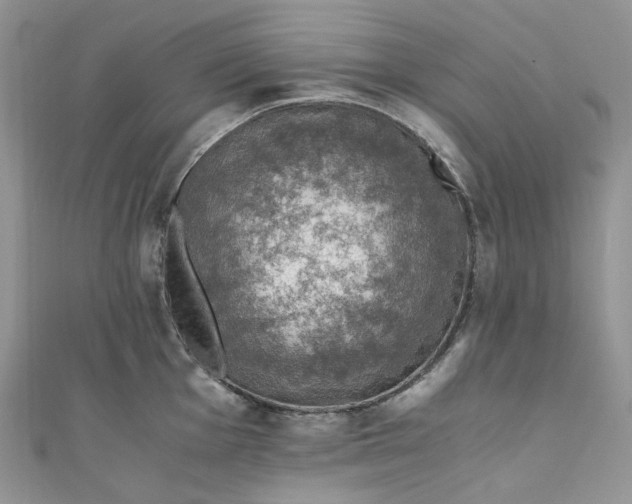 X0000110891001200907021513