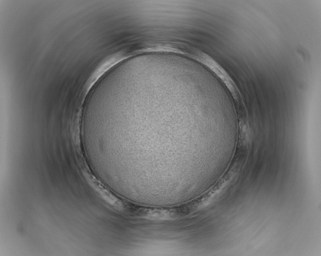 X0000110891002200907021513