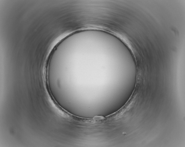 X0000110891003200907021513