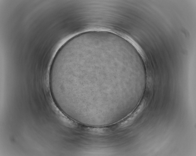 X0000110891004200907021513