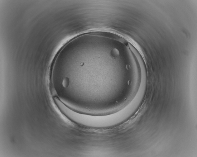X0000110891005200907021513