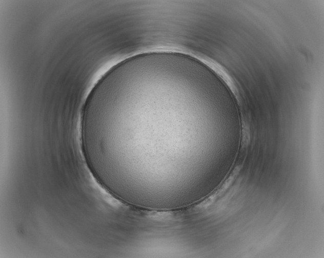 X0000110891006200907021513