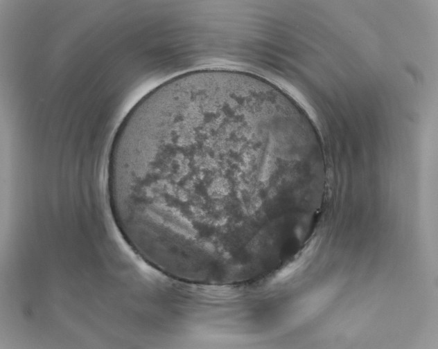 X0000110891007200907021513