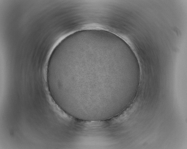 X0000110891008200907021513