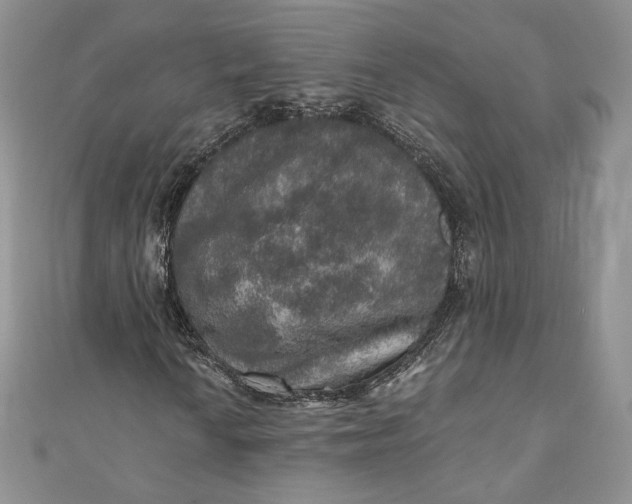 X0000110891010200907021513