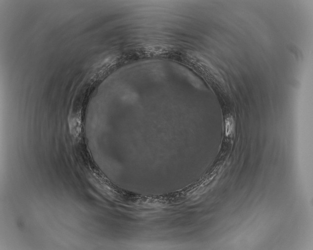 X0000110891011200907021513