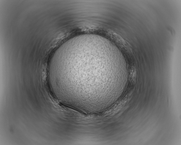 X0000110891012200907021513