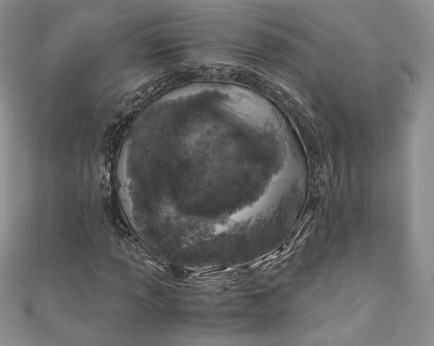 X0000110891013200907021513