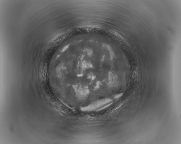 X0000110891014200907021513