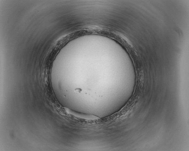 X0000110891016200907021513