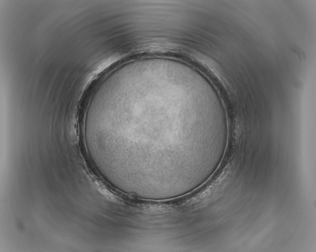 X0000110891018200907021513