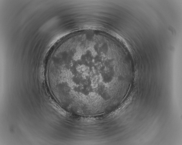 X0000110891019200907021513