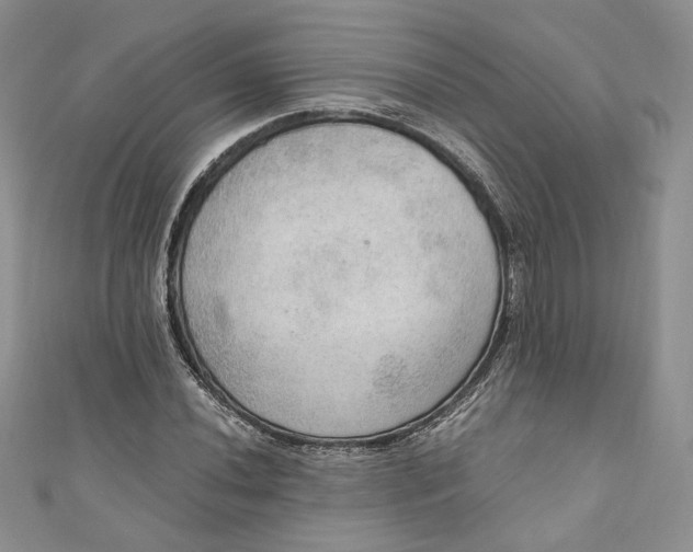 X0000110891020200907021513