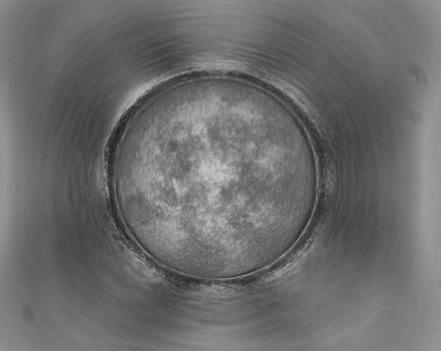 X0000110891022200907021513